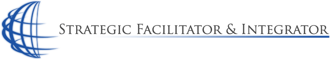 Strategic Facilitator & Integrator